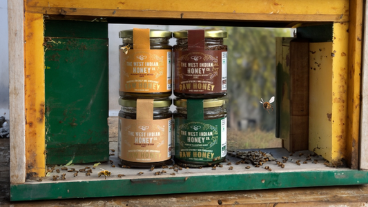 From Hive to Home: The Inspiring Journey of The West  Indian Honey Co.