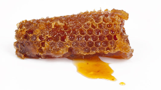 Propolis benefits