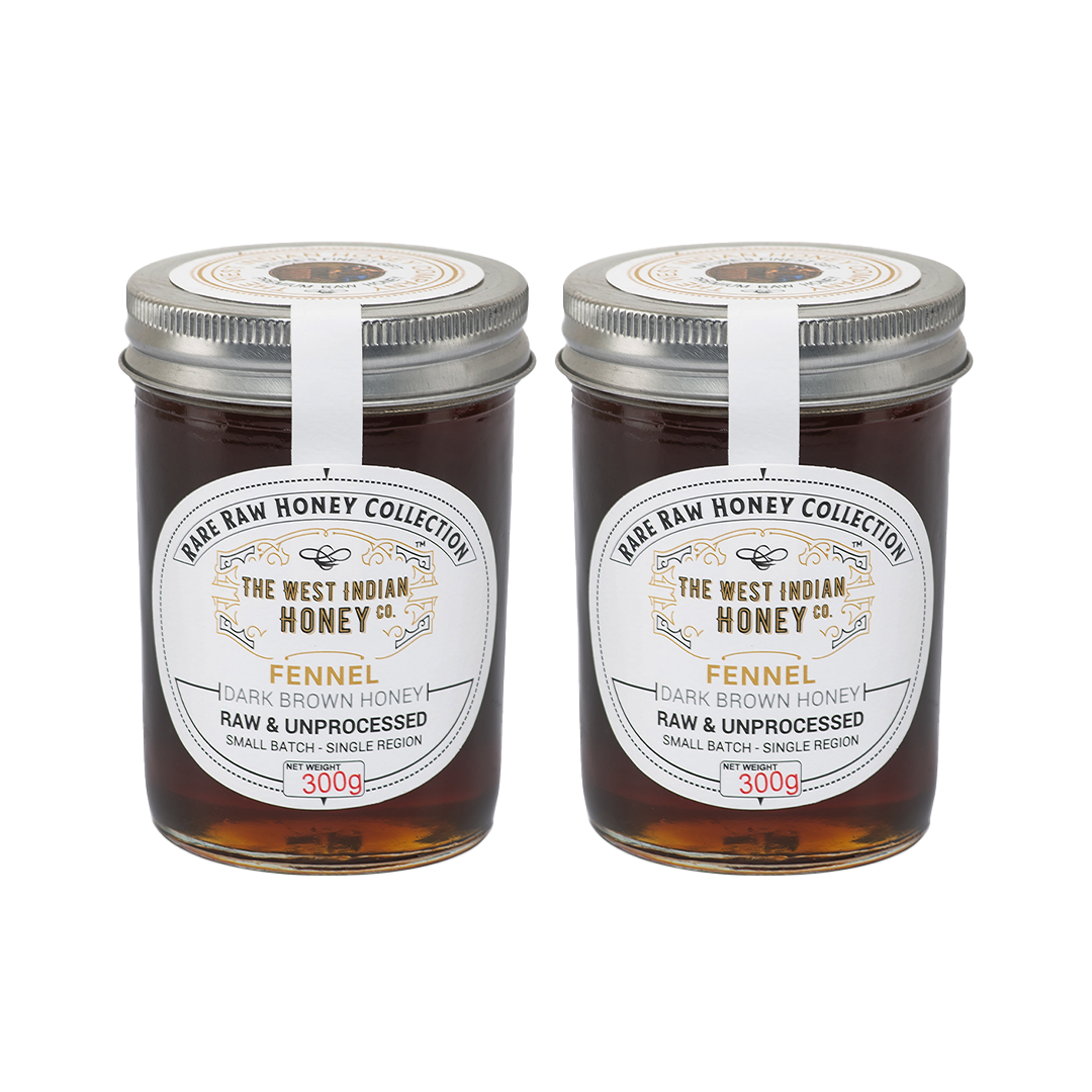 Raw Unprocessed Fennel Honey - 300 g (Pack of 2)