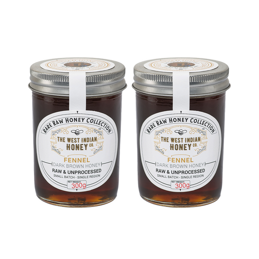 Raw Unprocessed Fennel Honey - 300 g (Pack of 2)