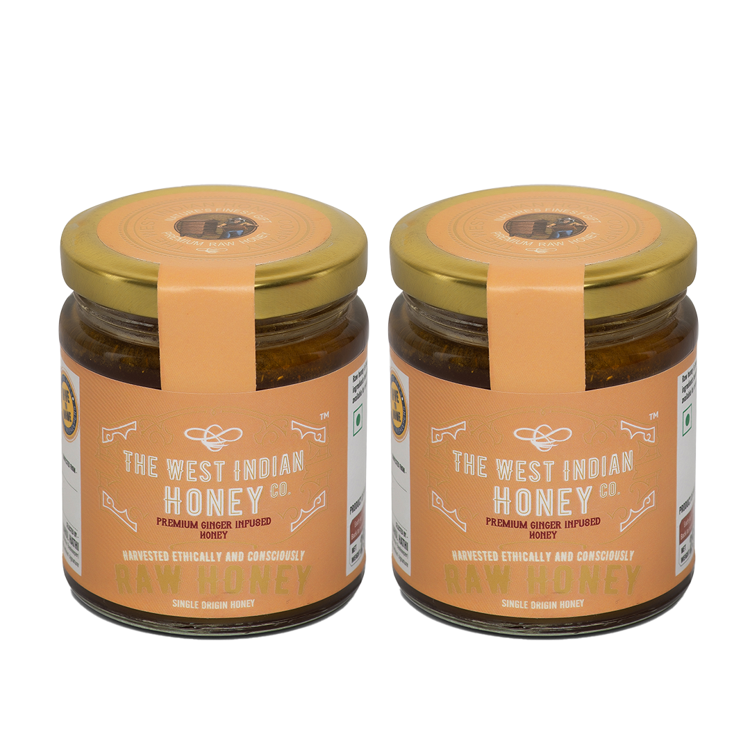 Products Raw Unprocessed Ginger Infused Honey - 250 g (pack of 2)