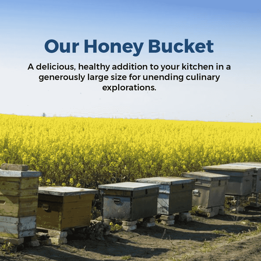 premium raw honey bucket