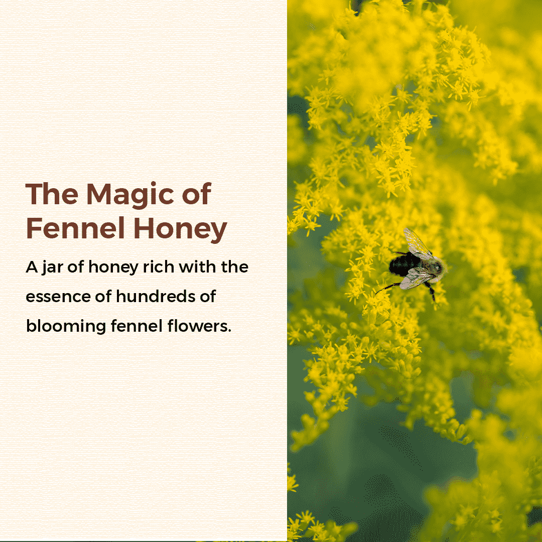 Fennel honey