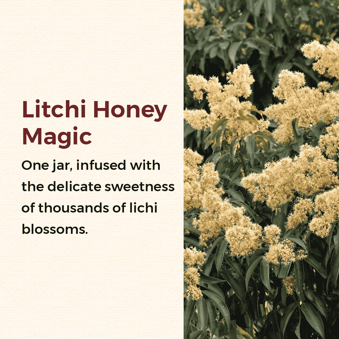 Litchi Flower Honey