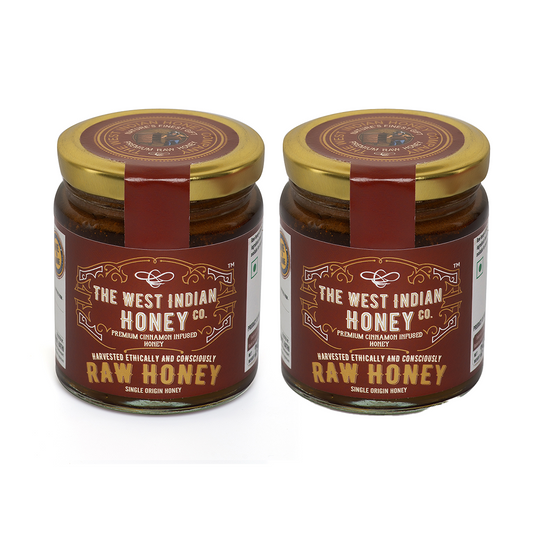 Raw Unprocessed Cinnamon Infused Honey - 250 g (Pack of 2)