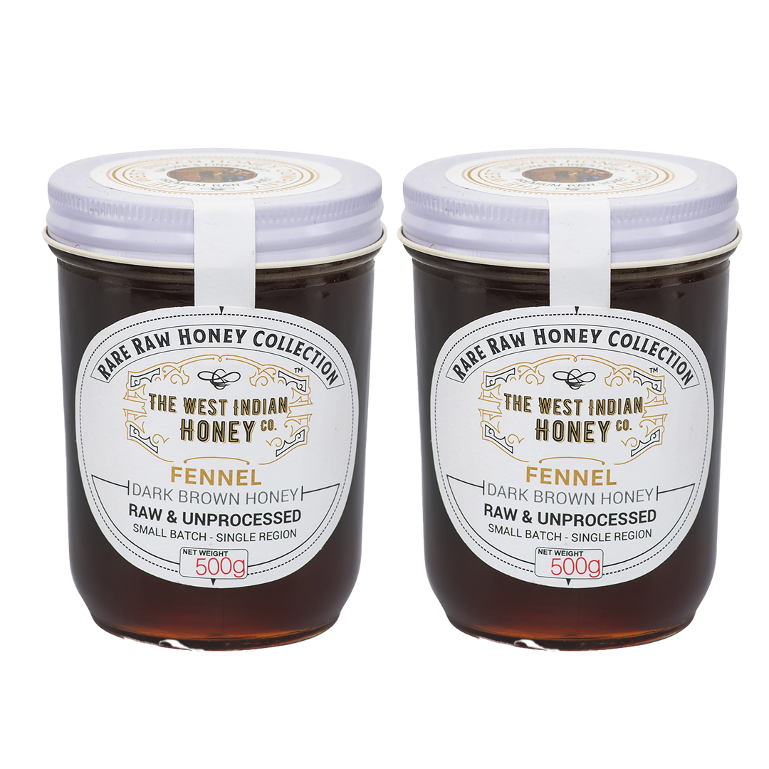Raw Unprocessed Fennel Honey - 500 g (Pack of 2) 