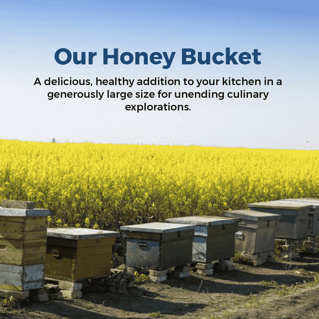 premium raw honey bucket 