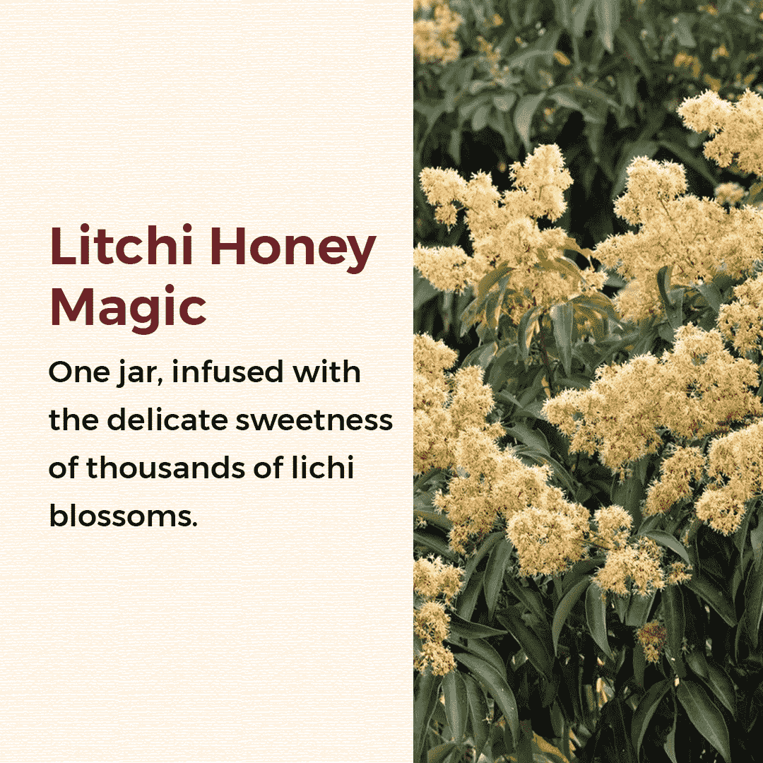 Litchi flower Honey