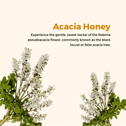 Acacia honey flowers