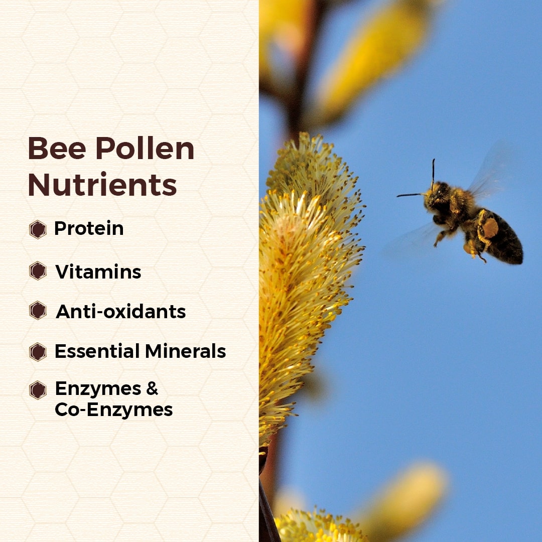 bee pollen nutrients